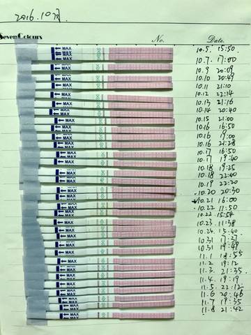 journal_insert_pic_1096819265