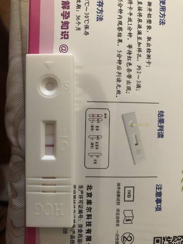journal_insert_pic_1098314048