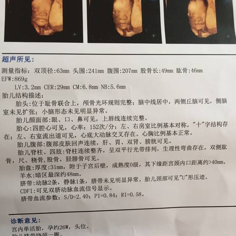 journal_insert_pic_1099057300