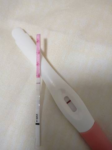 journal_insert_pic_1099908259