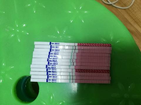journal_insert_pic_1099562886