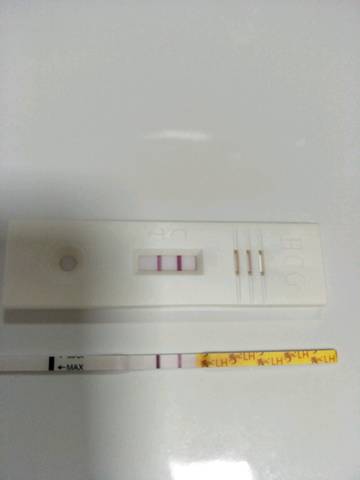 journal_insert_pic_1101139507
