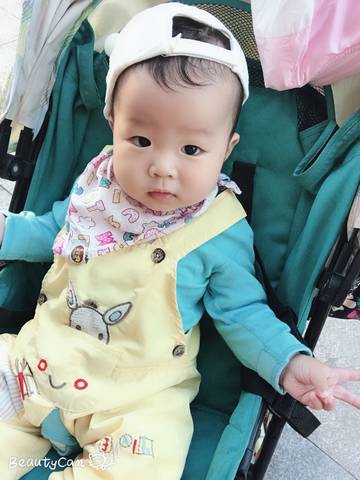 journal_insert_pic_1101850314