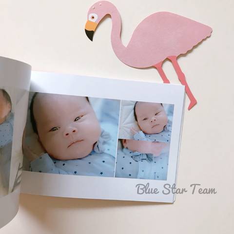 journal_insert_pic_1101446361