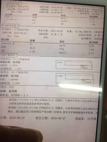 journal_insert_pic_1101709330