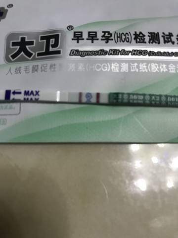 journal_insert_pic_1102314588