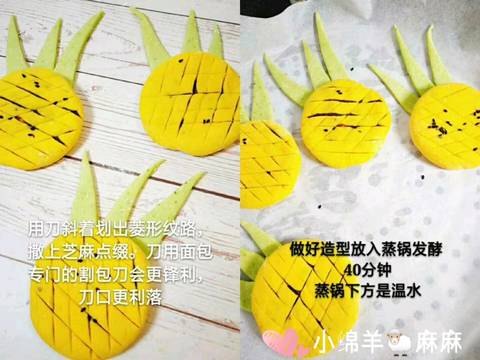 journal_insert_pic_1102642952