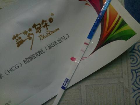 journal_insert_pic_1102829072