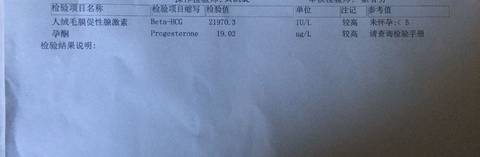 journal_insert_pic_1103253820