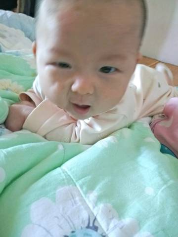 journal_insert_pic_1104491403