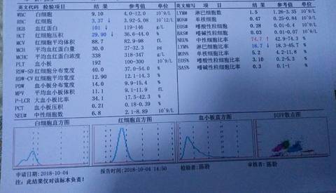 journal_insert_pic_1105566665