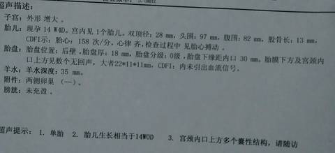 journal_insert_pic_1105169709