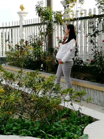 journal_insert_pic_1105506876