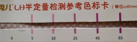 journal_insert_pic_1106012341