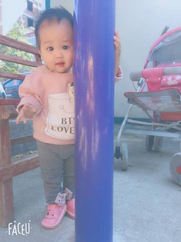 journal_insert_pic_1106300253