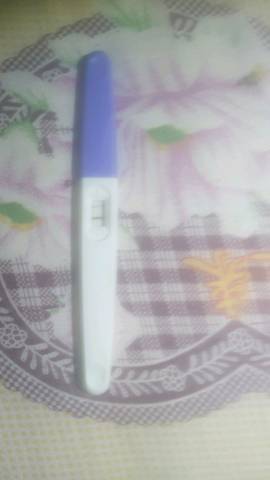 journal_insert_pic_1105883765