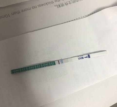 journal_insert_pic_1105850373