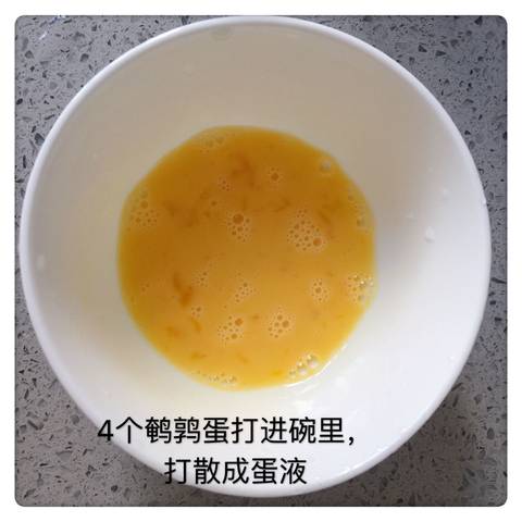 journal_insert_pic_1106510390