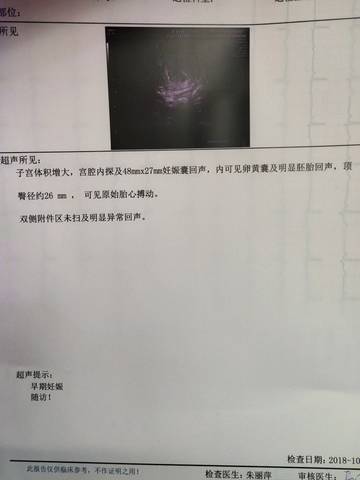 journal_insert_pic_1106204059
