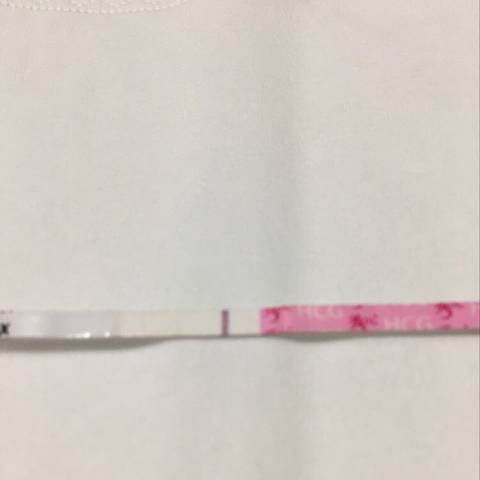 journal_insert_pic_1107127085