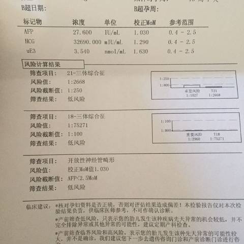 journal_insert_pic_1106935559