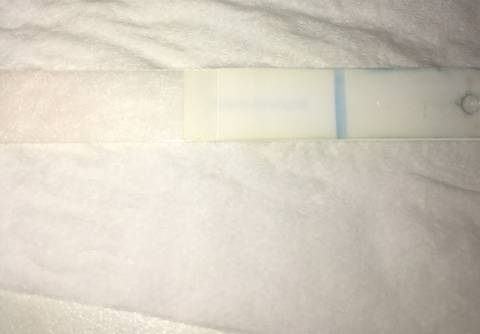 journal_insert_pic_1106720227