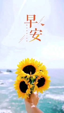 journal_insert_pic_1107523667
