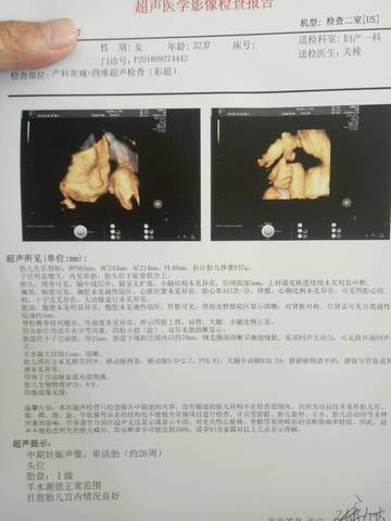 journal_insert_pic_1107720015