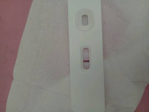 journal_insert_pic_1107686400