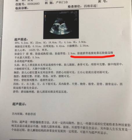 journal_insert_pic_1108396634