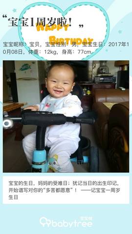 journal_insert_pic_1108324099