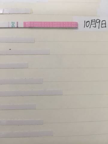 journal_insert_pic_1108475182