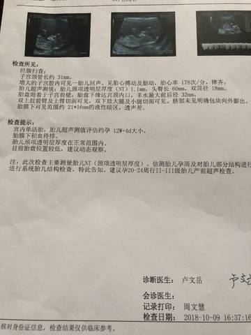 journal_insert_pic_1109039616