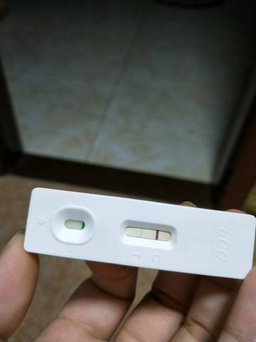 journal_insert_pic_1108996957