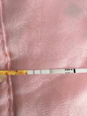 journal_insert_pic_1109601154