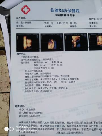 journal_insert_pic_1109787733
