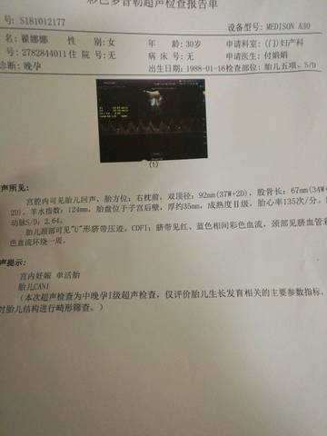 journal_insert_pic_1110296411