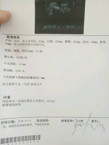 journal_insert_pic_1110356720