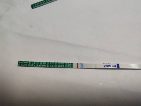journal_insert_pic_1110628077