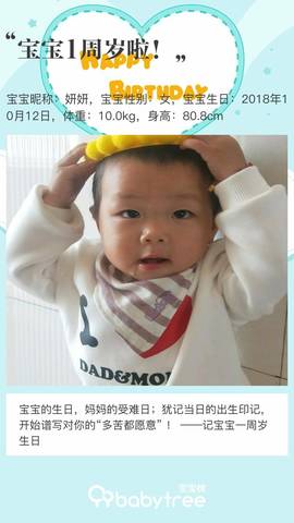 journal_insert_pic_1110181033