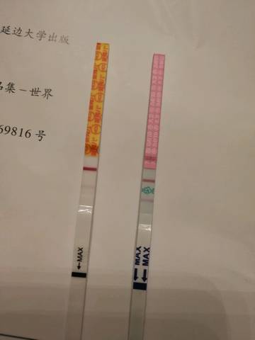journal_insert_pic_1110829034