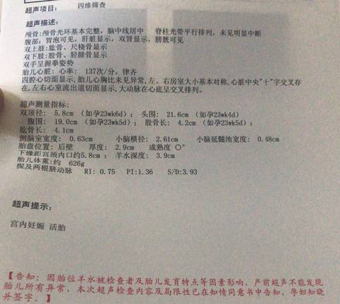 journal_insert_pic_1111176111
