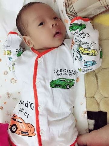 journal_insert_pic_1111159705