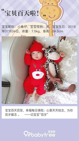journal_insert_pic_1111016934