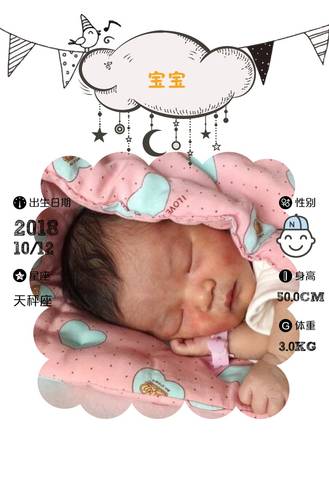 journal_insert_pic_1111457548