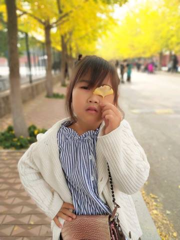 journal_insert_pic_1111518451