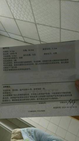 journal_insert_pic_1111461620