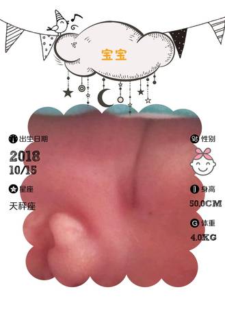 journal_insert_pic_1112116424