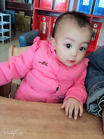 journal_insert_pic_1113479761