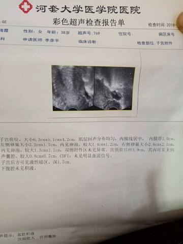 journal_insert_pic_1113882454